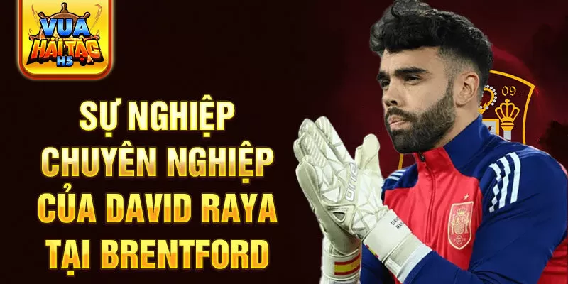 Sự nghiệp chuyên nghiệp của David Raya tại Brentford