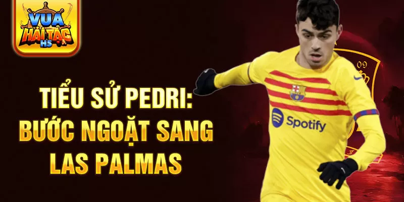 Tiểu sử Pedri: Bước ngoặt sang Las Palmas