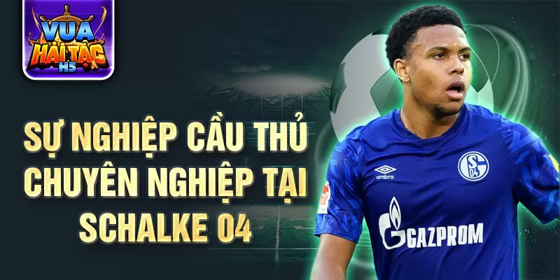 Sự nghiệp cầu thủ chuyên nghiệp tại Schalke 04